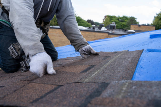 Best Affordable Roofing Company  in Rio Dell, CA